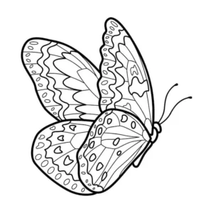 Free Butterfly Picture To Color In