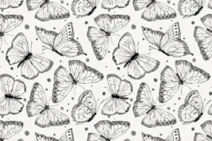 Free Butterfly Picture To Color In
