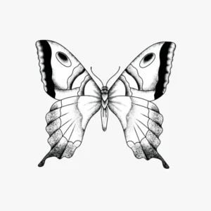Free Butterfly Picture To Color In