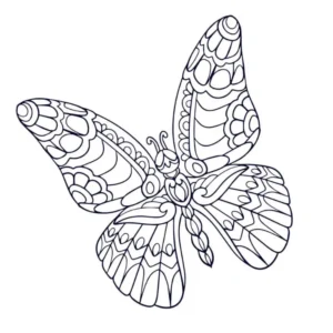 Free Butterfly Picture To Color In