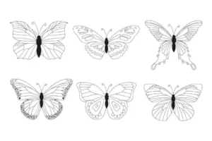 Free Butterfly Picture To Color In