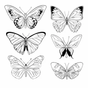 Free Butterfly Picture To Color In