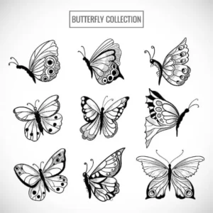 Free Butterfly Picture To Color In