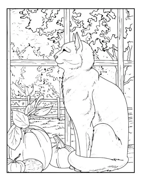 Free Cat Picture To Color In