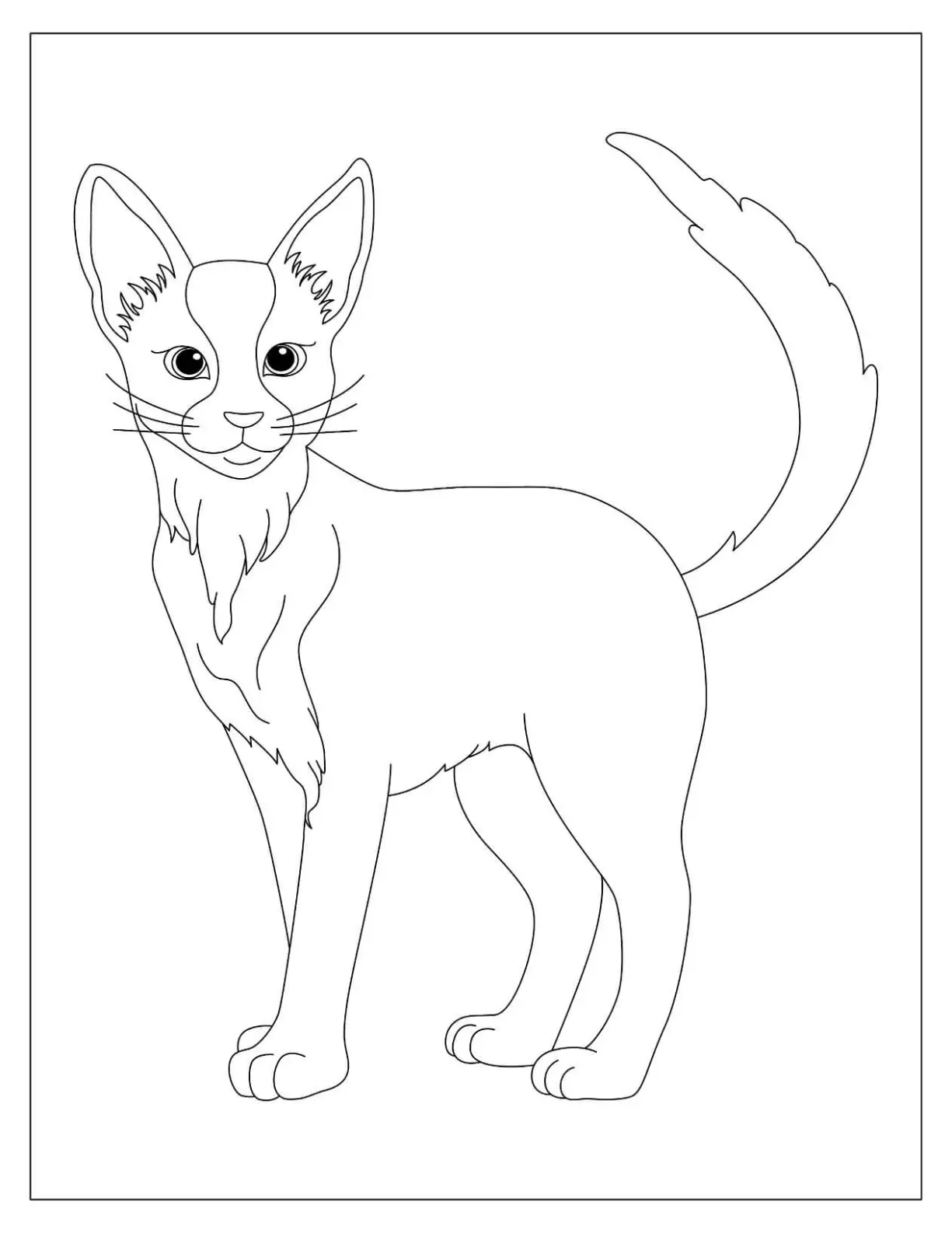 Free Cat Picture To Color In