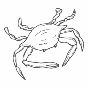 Free Crab Picture To Color In