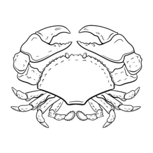 Free Crab Picture To Color In