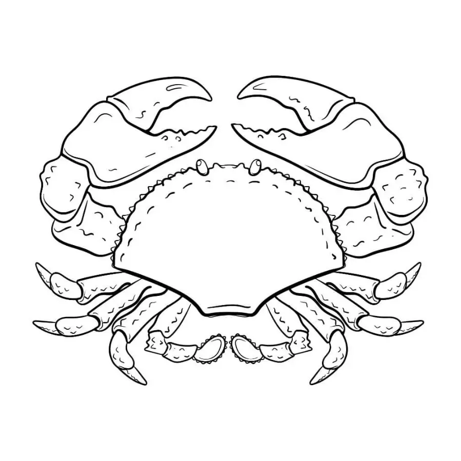Free Crab Picture To Color In