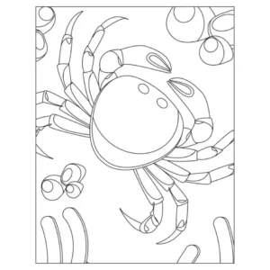 Free Crab Picture To Color In
