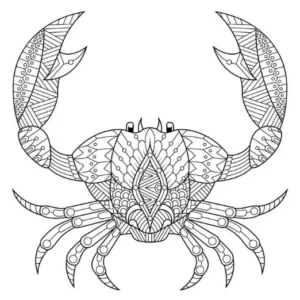 Free Crab Picture To Color In