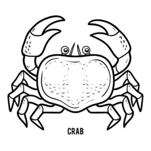 Free Crab Picture To Color In