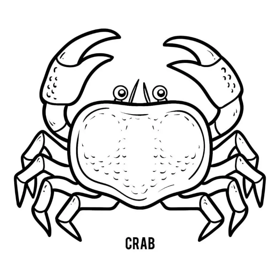 Free Crab Picture To Color In