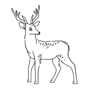 Free Deer Picture To Color In