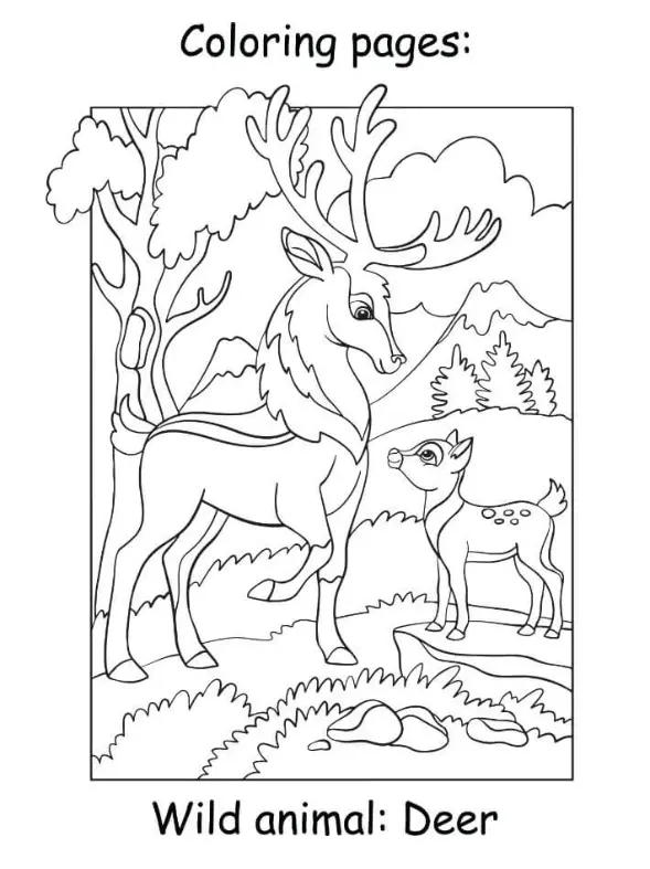 Free Deer Picture To Color In