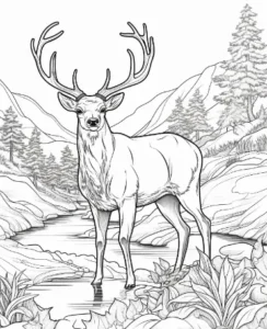 Free Deer Picture To Color In