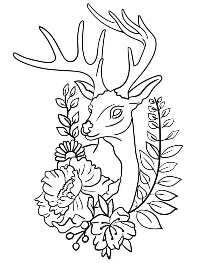 Free Deer Picture To Color In