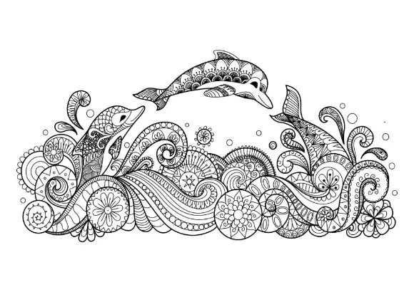 Free Dolphin Picture To Color In