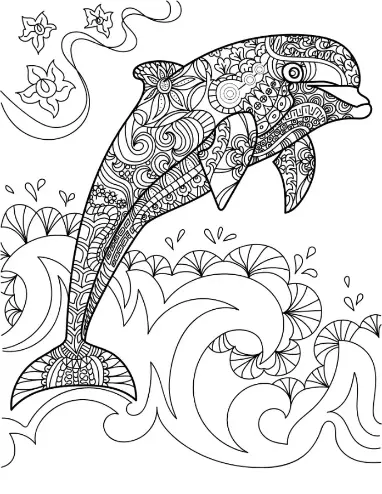 Free Dolphin Picture To Color In