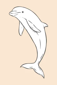 Free Dolphin Picture To Color In
