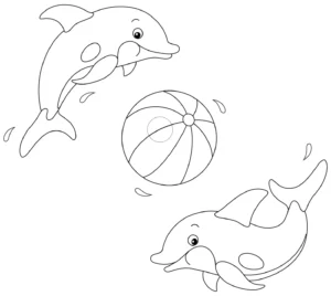 Free Dolphin Picture To Color In