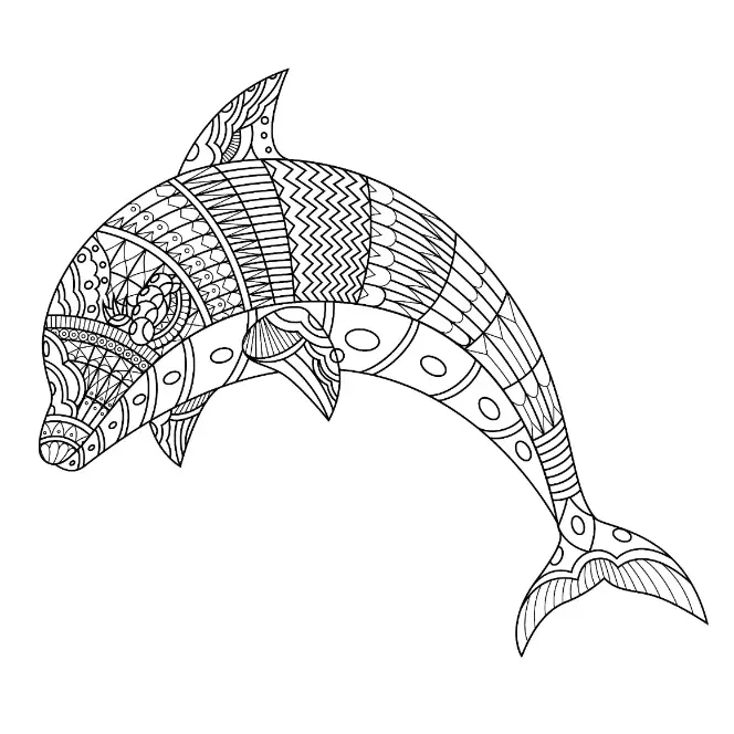 Free Dolphin Picture To Color In