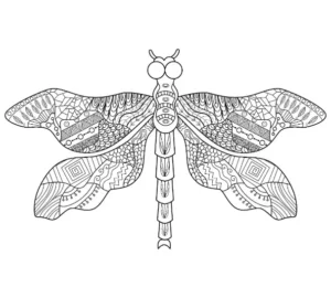 Free Dragonfly Picture To Color In