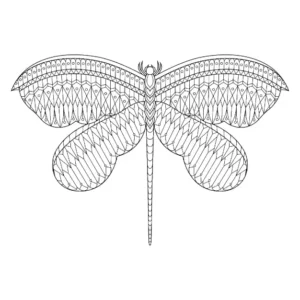 Free Dragonfly Picture To Color In