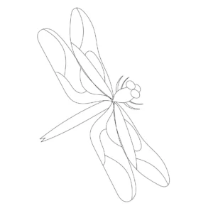Free Dragonfly Picture To Color In
