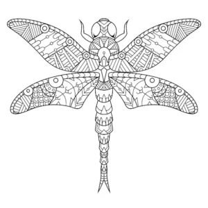 Free Dragonfly Picture To Color In