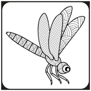 Free Dragonfly Picture To Color In