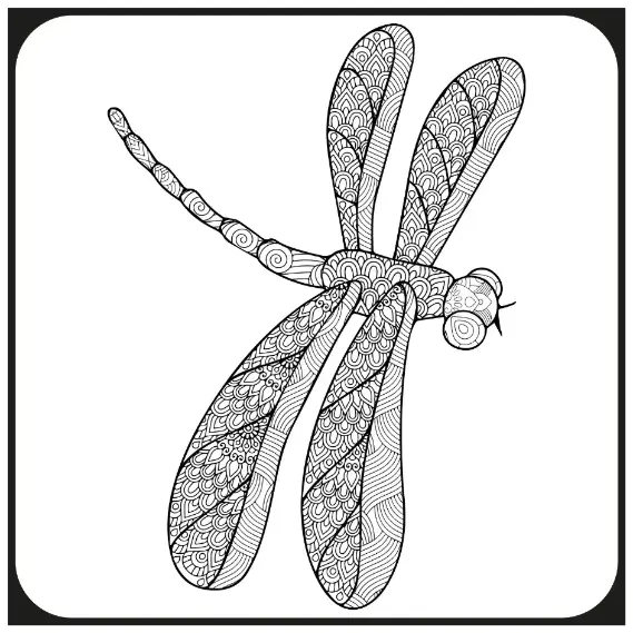 Free Dragonfly Picture To Color In