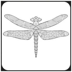 Free Dragonfly Picture To Color In