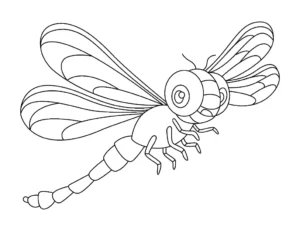Free Dragonfly Picture To Color In