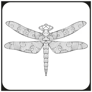 Free Dragonfly Picture To Color In