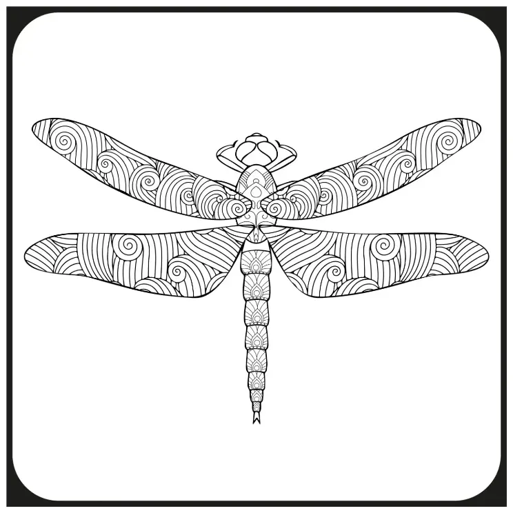 Free Dragonfly Picture To Color In