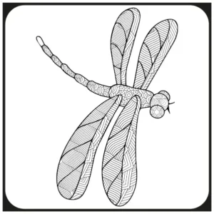Free Dragonfly Picture To Color In