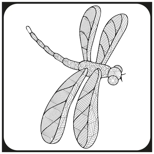 Free Dragonfly Picture To Color In