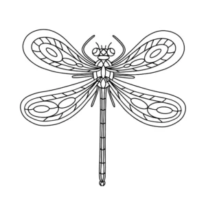 Free Dragonfly Picture To Color In