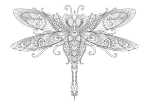 Free Dragonfly Picture To Color In