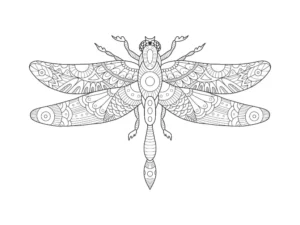 Free Dragonfly Picture To Color In