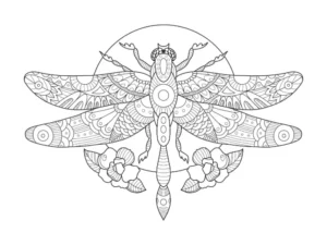 Free Dragonfly Picture To Color In
