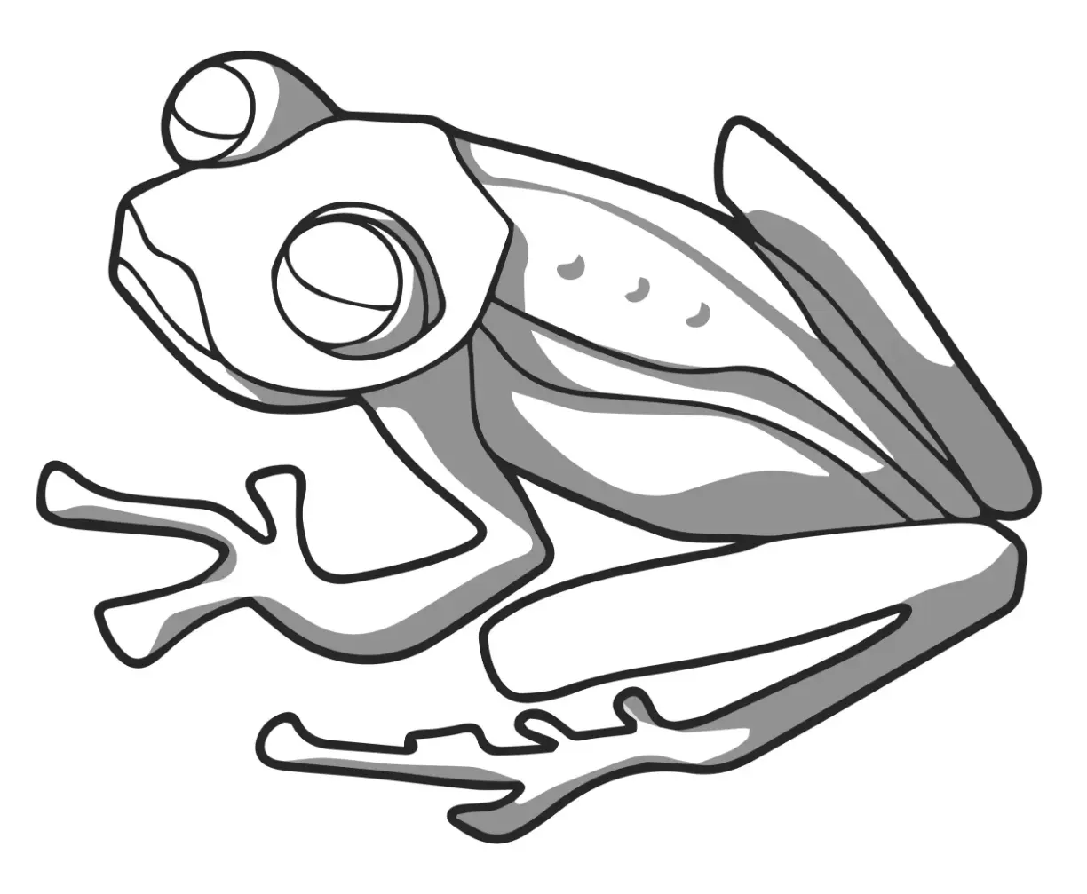 Free Frog Picture To Color In