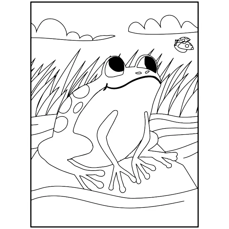 Free Frog Picture To Color In