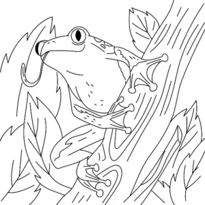 Free Frog Picture To Color In