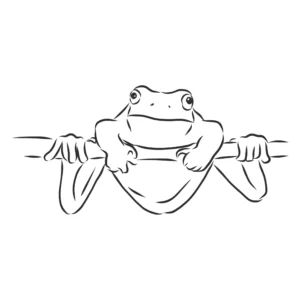 Free Frog Picture To Color In