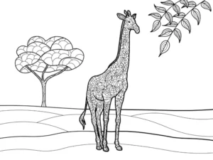 Free Giraffe Picture To Color In