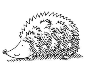Free Hedgehog Picture To Color In