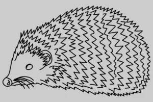 Free Hedgehog Picture To Color In