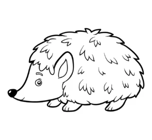 Free Hedgehog Picture To Color In