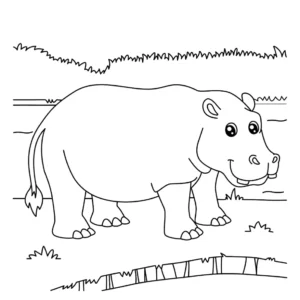 Free Hippo Picture To Color In